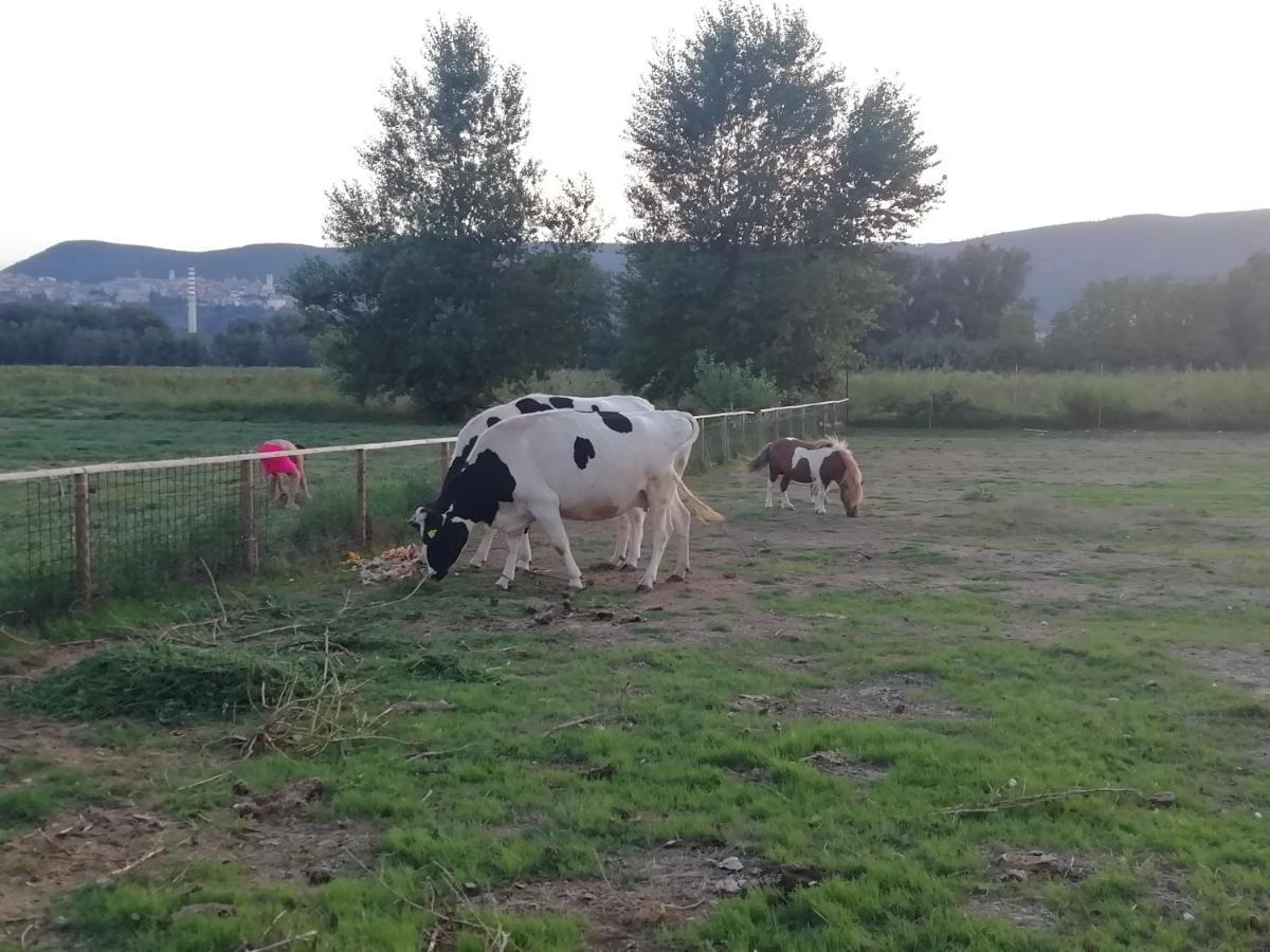 Agriturismo Tenuta Filippi Narni Esterno foto
