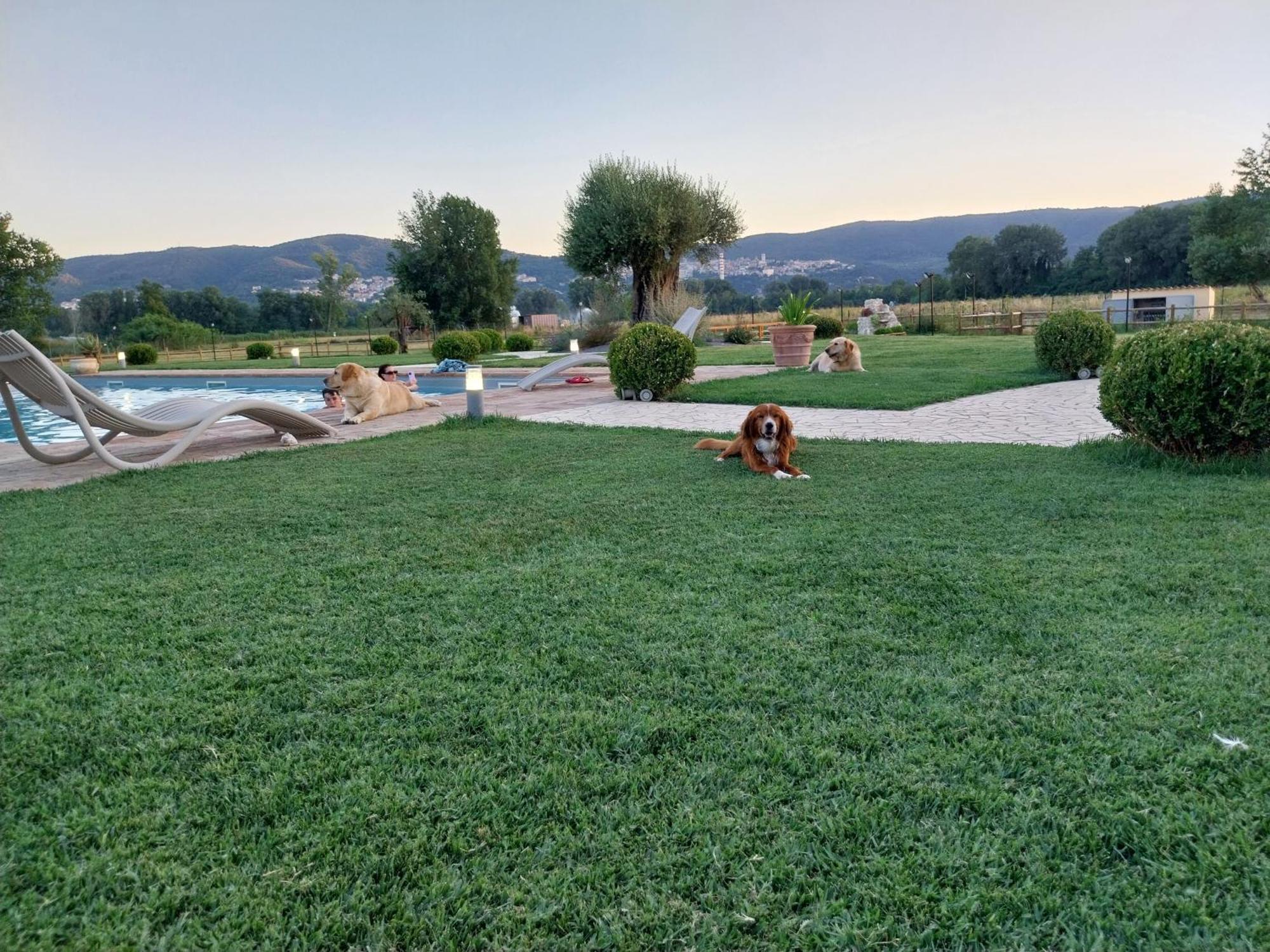 Agriturismo Tenuta Filippi Narni Esterno foto